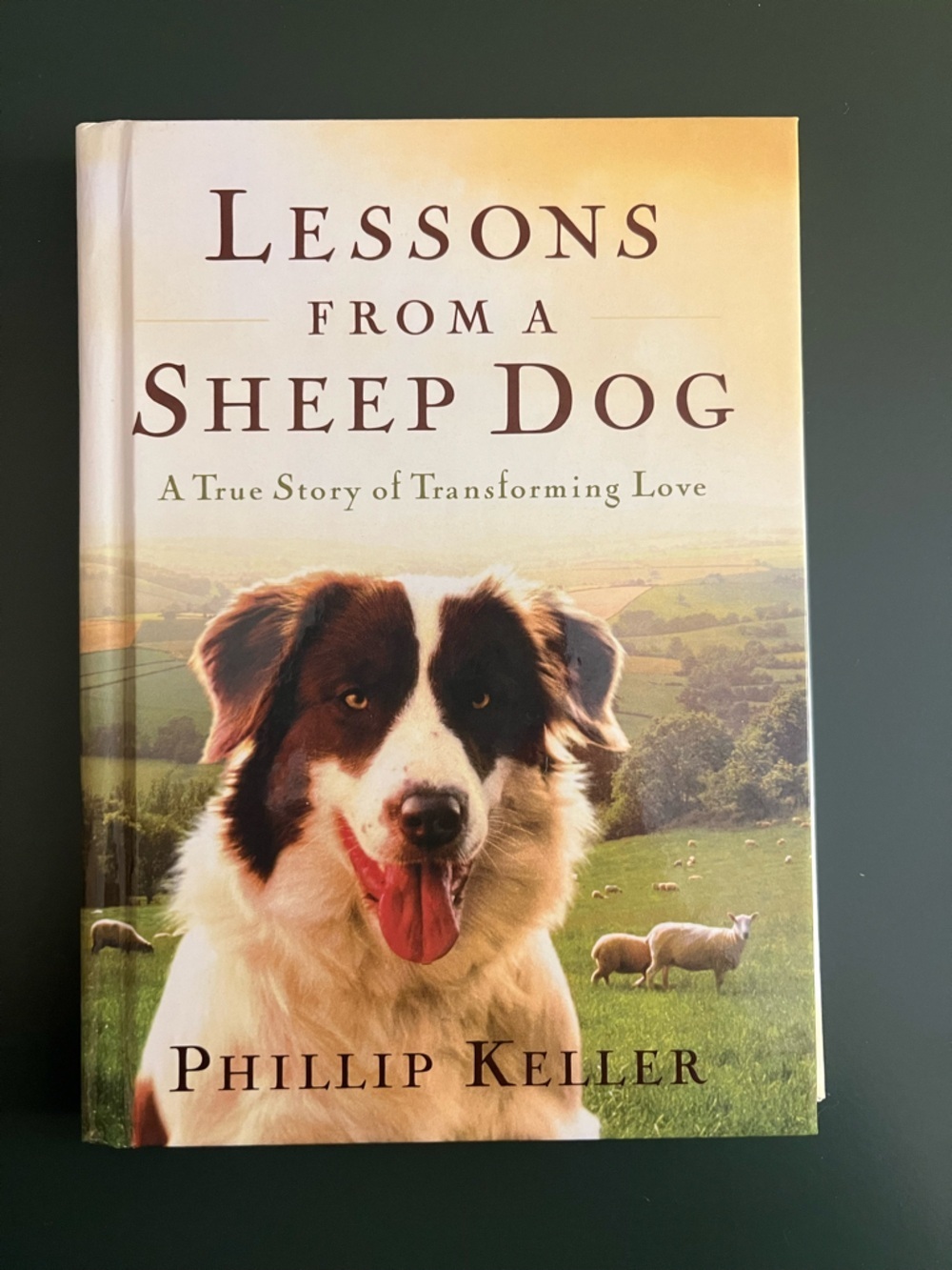 Lessons From a Sheep Dog book